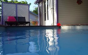 Caraibes Cottages Jellyfish Piscine Privee A 900M De La Plage De Grande Anse
